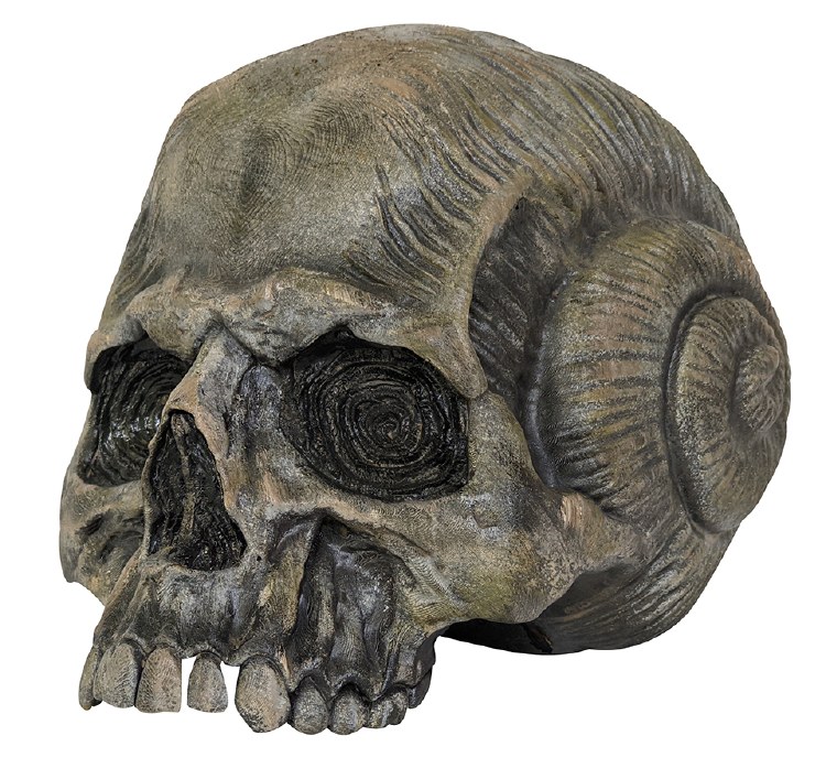 Skull Shell/Pirate 7in