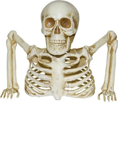 Skeleton Groundbreaker 8in