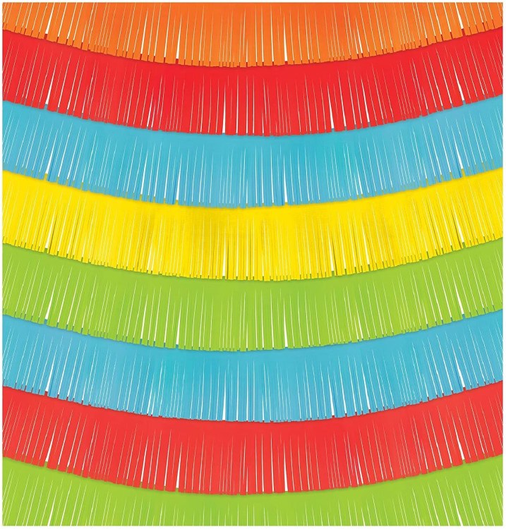 Fringe Fiesta Decor Backdrop