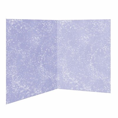 Scene Setter Snow Flurries