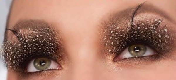 Eyelashes Feather Brown Spots
