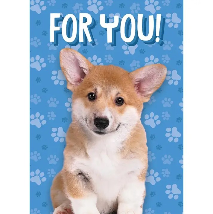 Gift Enclosure Puppy