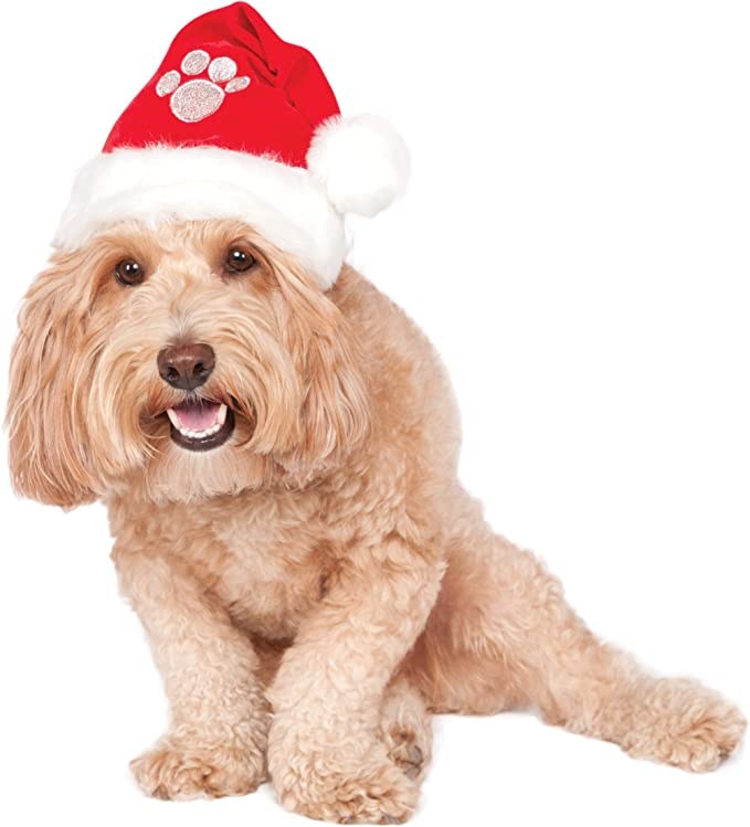 Pet Santa Hat S/M