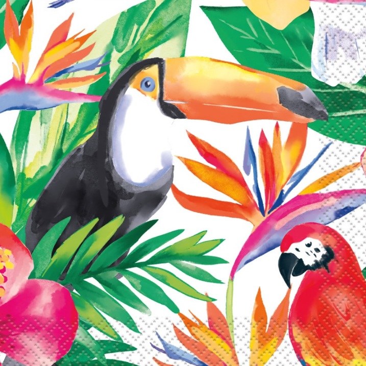 Palm Tropical Bev Napkin 16ct