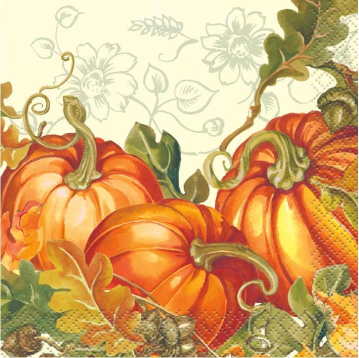 Thanksgiving Beverage Napkins