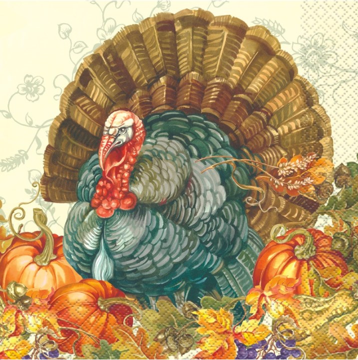 Thanksgiving Lunch Napkin 16ct