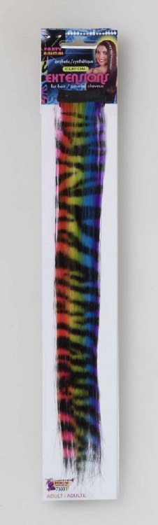 HairClip Rainbow Zebra Stripe