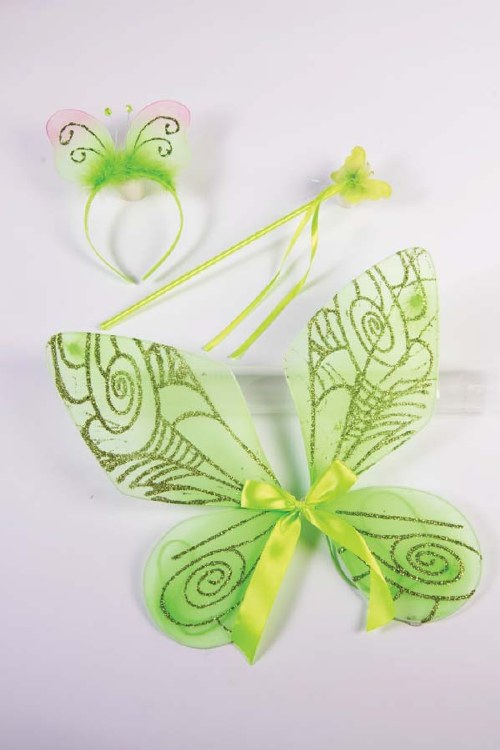 Child Fairy Wings Set, Green