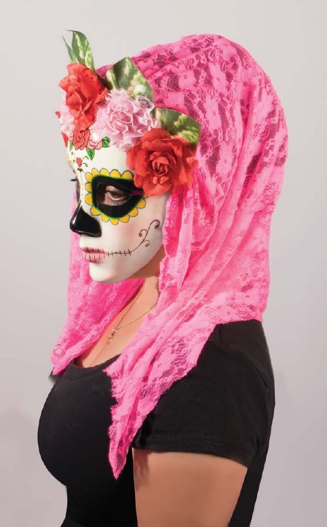 Mask Day of the Dead Veil Pnk