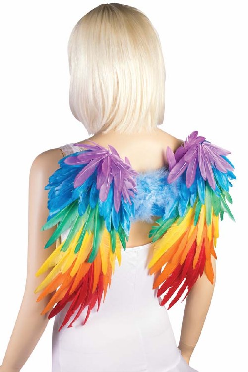 Wings Rainbow Feather
