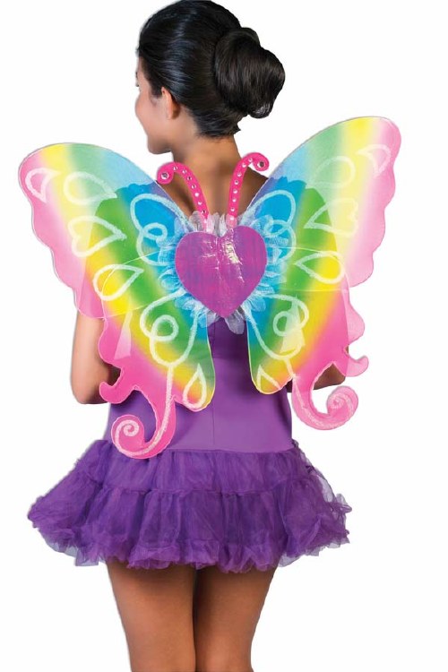 Adult Rainbow Fairy Wings