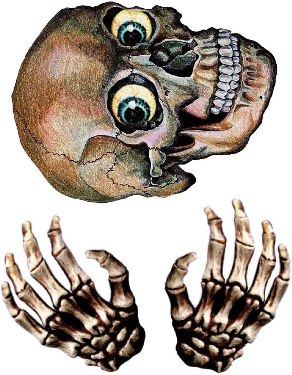 Window Stickers Skull &amp; Hands