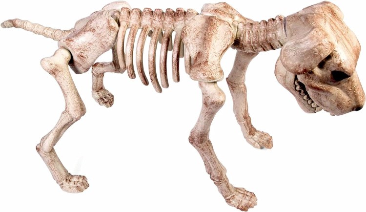 Dog Skeleton Large