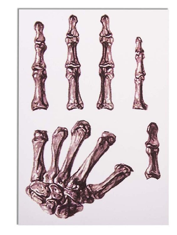 Tattoo Hand Bones