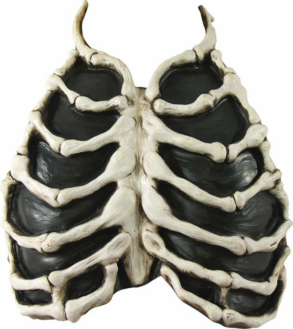 Chest Bone Skeleton
