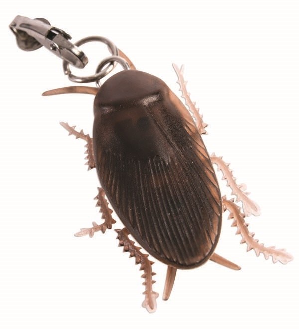 Earrings Cockroach