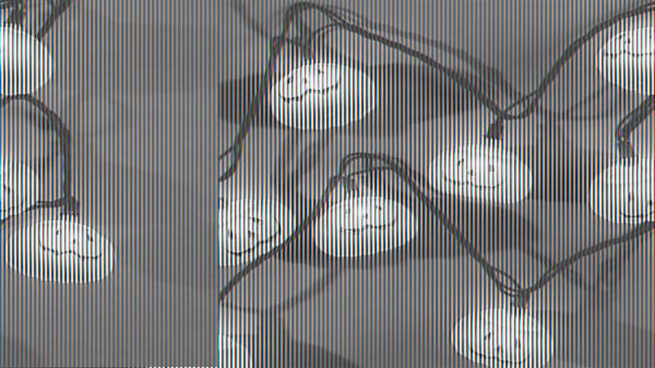 Lights Pumpkins 10pc