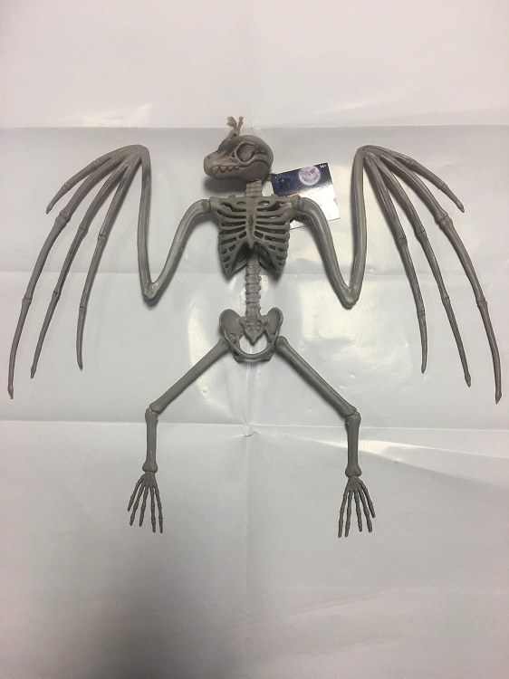 Bat Skeleton Sm