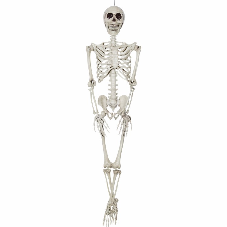 Posable Skeleton 3ft