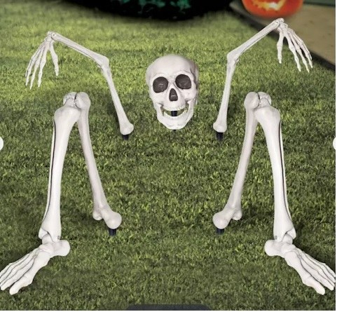 Skeleton Groundbreaker