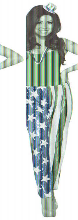 Leggings Unisex Patriotic