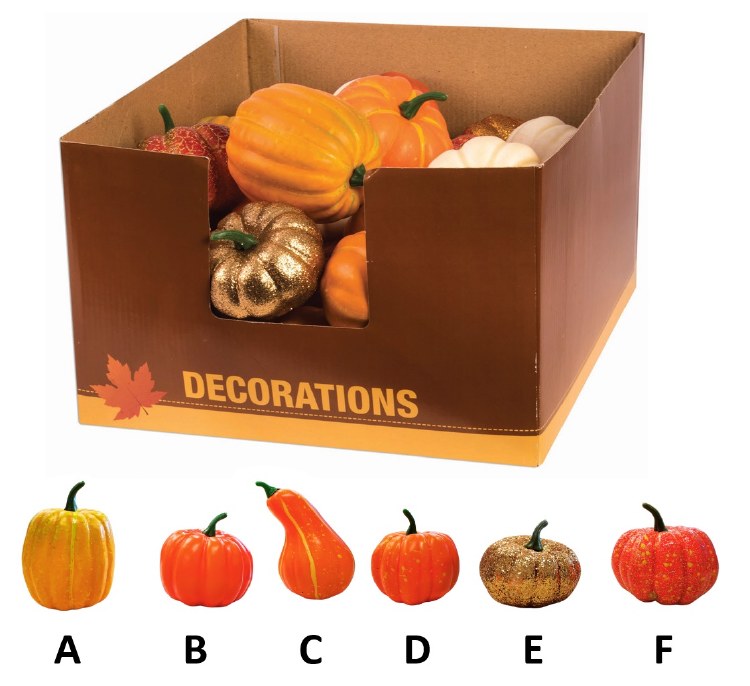 Assorted Mini Pumpkins • ONLY ONE/Specify Choice at Checkout