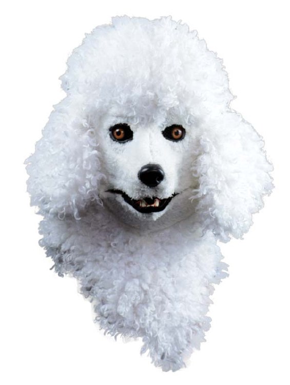 Mask Poodle Moving Jaw