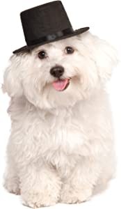 Pet Top Hat Blk M/L
