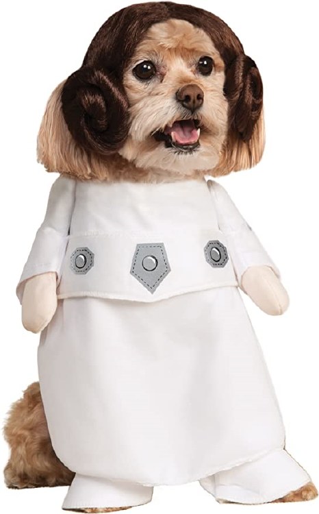 Princess Leia Pet Sm