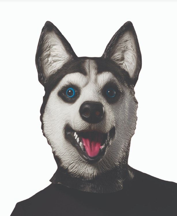 Mask Husky Dog