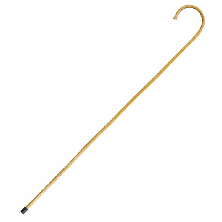 Cane Walking 38in