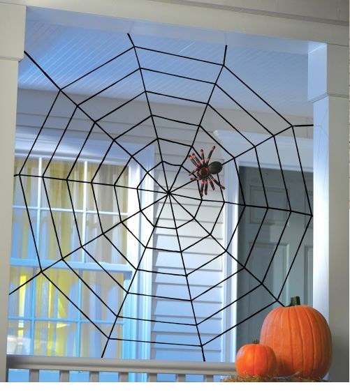 Spider Web Rope 5'