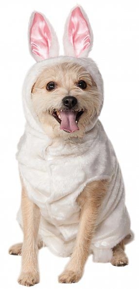 Pet Bunny Costume LG