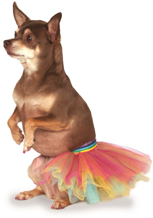Pet Tutu Rainbow M/L