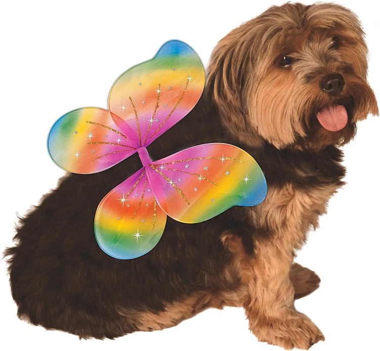 Pet Wings Rainbow M/L