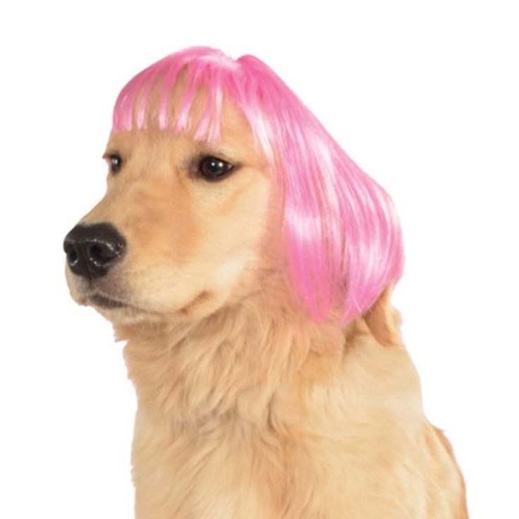 Pet Wig - Pink Bob M/L