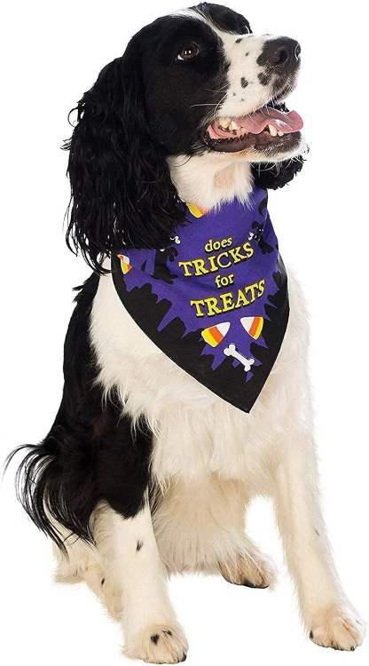 Pet Bandana Tricks4Treats M/L