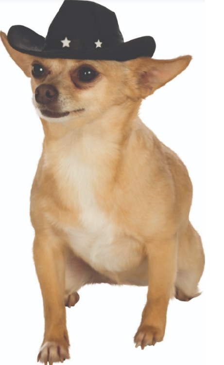 Dog Cowboy Hat S/M