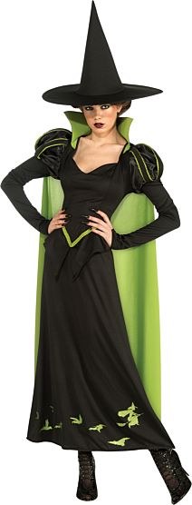 Wicked Witch Adult Standard Size