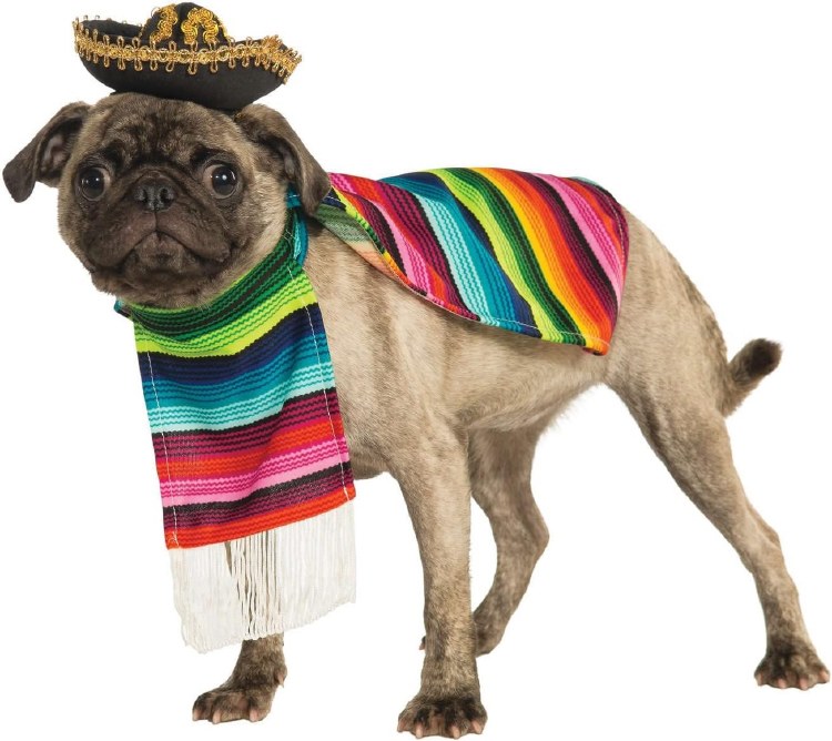 Mexican Serape Pet Costume LG