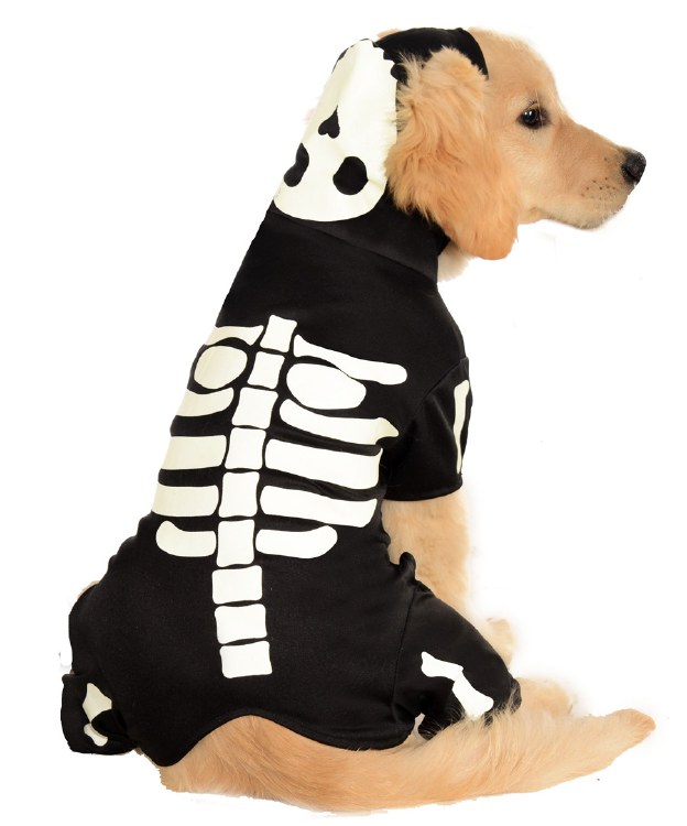 Pet Skeleton Hoodie S