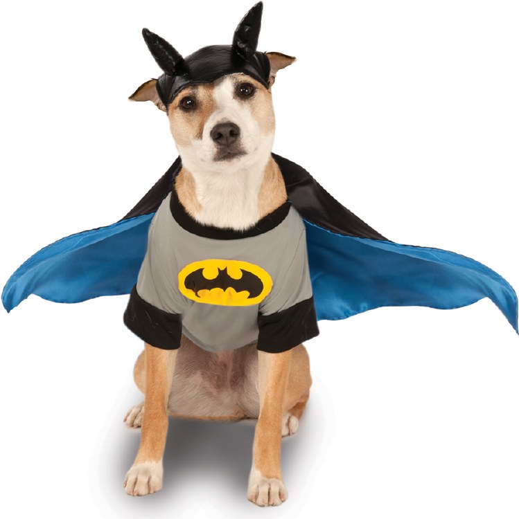 Batman Pet Lg