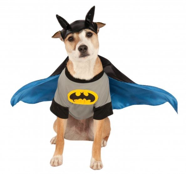 Batman Pet Sm