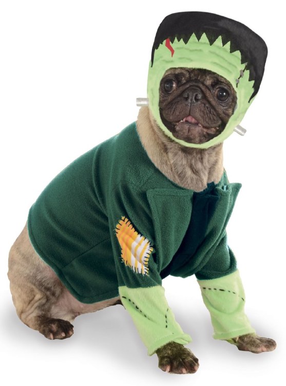 Frankenstein Pet XL