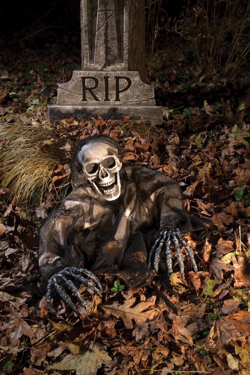 Skeleton Grave Breaker