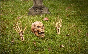 Skeleton Ground BreakerNatural