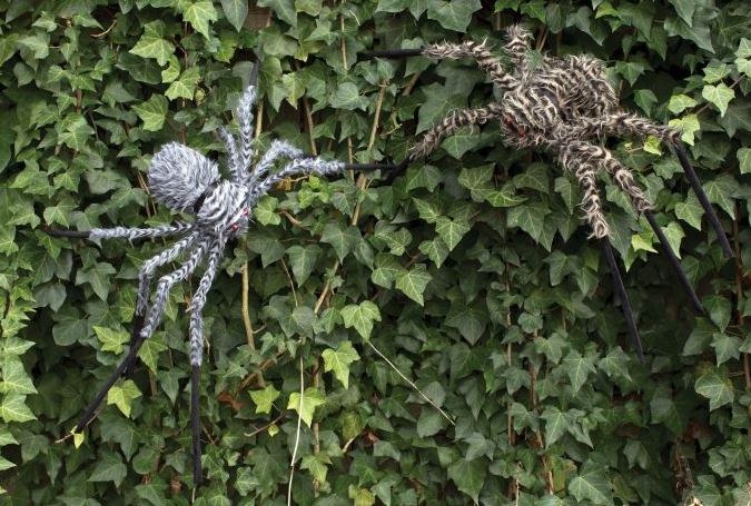 Fuzzy Spider Asst 30in