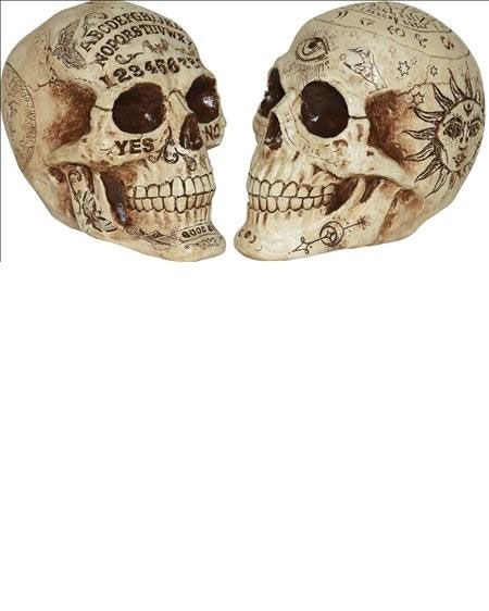 Skull Fortune Teller 7in