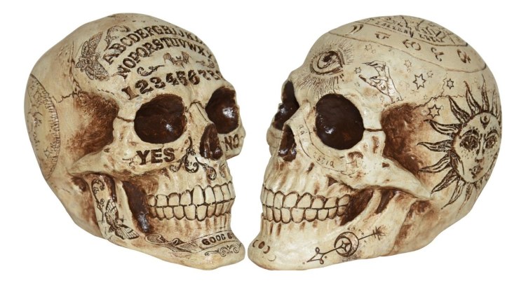 Skull Fortune Telling Asst 7"