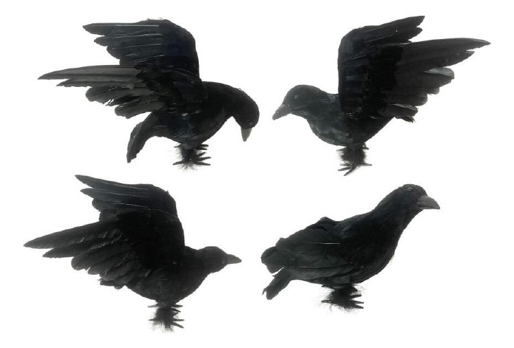 Crow 10" Assorted